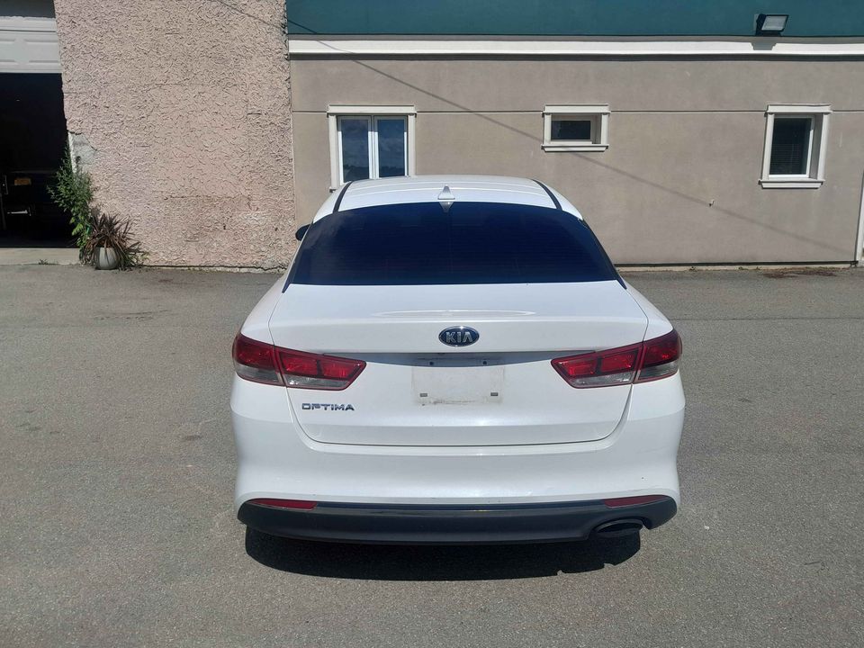 450164080_2276172189390386_6335573294917911856_n